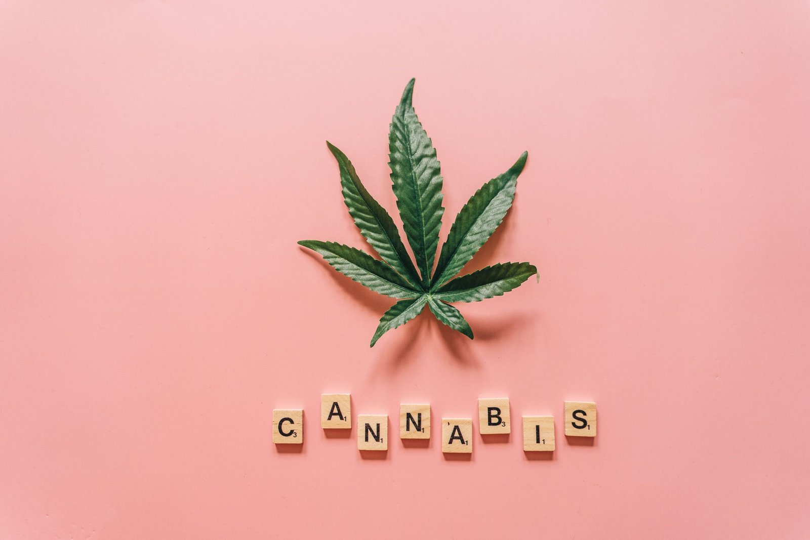 Vapoter le cannabis : le guide du débutant pour une expérience maîtrisée